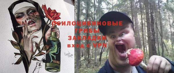 экстази Бородино