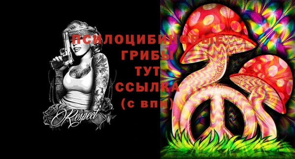 apvp Бугульма