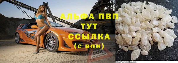 экстази Бородино