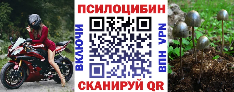Псилоцибиновые грибы мухоморы  Купить где  Белая Калитва 